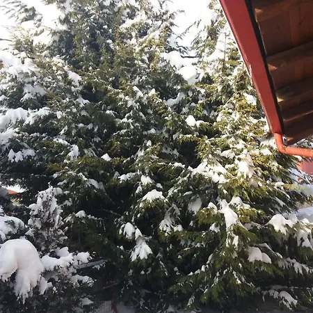 Monte Nord *