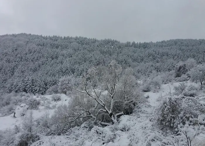 Monte Nord Вилла