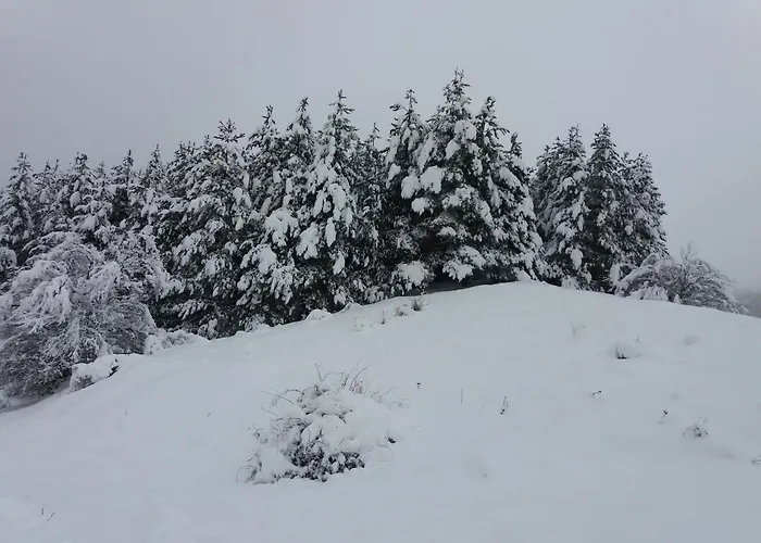 Monte Nord