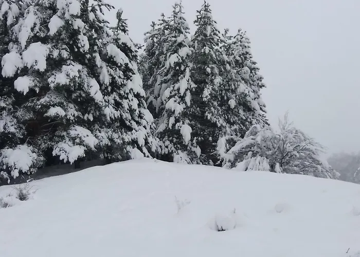 Monte Nord